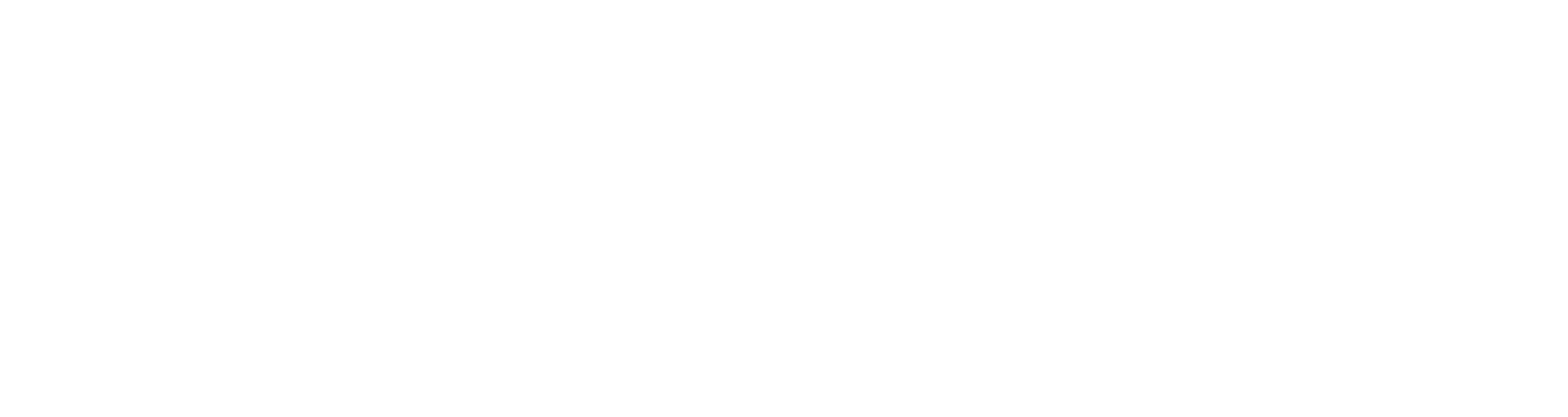 Splendint